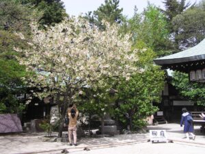 ［白峰神社］。